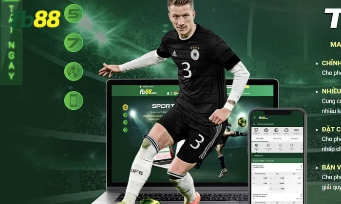 Siêu thưởng cược xâu FB88 Những điều cần biết về FB88 trước khi tham gia
